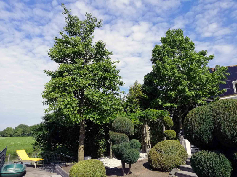 Tuinonderhoud- en aanleg Amstelveen3