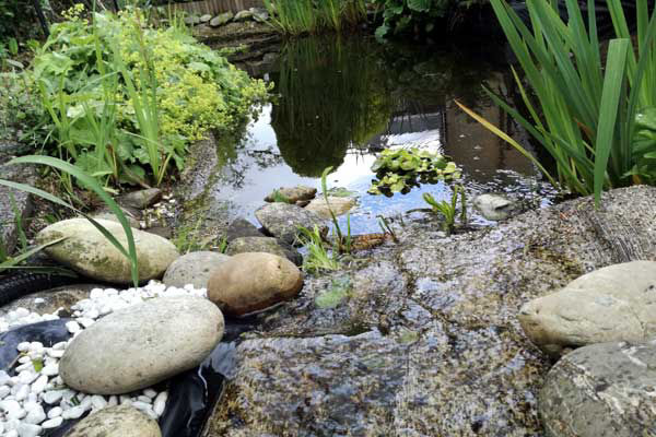 Tuinonderhoud- en aanleg Amstelveen3