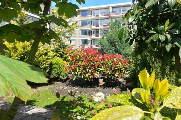 Tuinonderhoud- en aanleg Amstelveen3