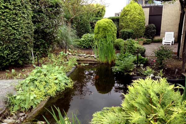 Tuinonderhoud- en aanleg Amstelveen3