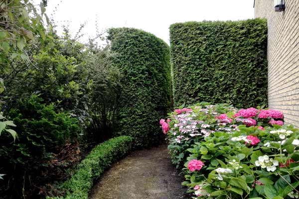 Tuinonderhoud- en aanleg Amstelveen3