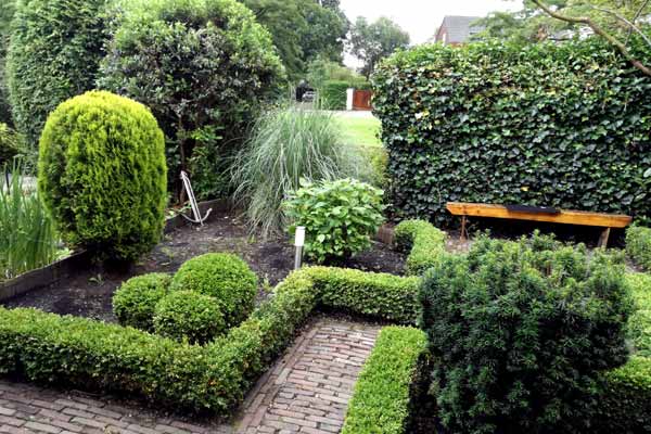 Tuinonderhoud- en aanleg Amstelveen